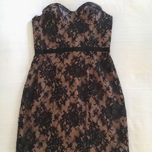 Haute Hippie Black Beige Lace Corset Dress
